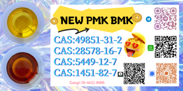 China Reliable Supplier PM.K CAS 28578-16 -7