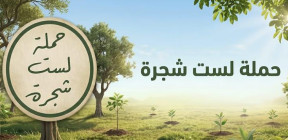 لست شجرة .. حملة طائفية تتوّج مسار غياب محاسبة المحرّضين