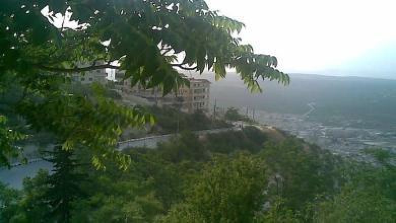 10920 غرسة حراجية ومثمرة لـ 588 مزارعاً ومزارعة بريف إدلب من مؤسسة الآغا خان