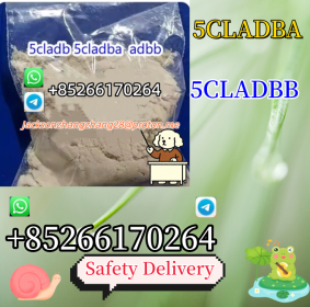Yellow Powder 5cladba 5cladbb Whatsapp/Telegram:+85266170264