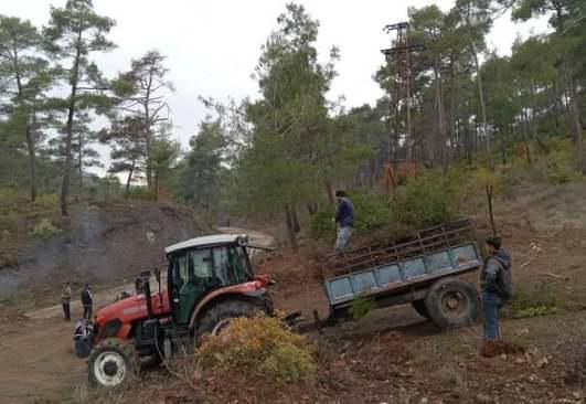 الزراعة تتحرك لدعم أهالي المخيمات