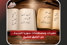ثائر.. سوري يعلن انتهاء صلاحية حقوق الإنسان بعد استلام اللجوء