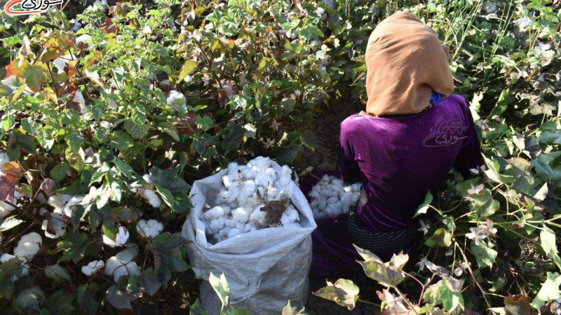 ماذا تعرفون عن الرقة؟.. المحافظة المثقلة بالحرب والموارد والانقسام