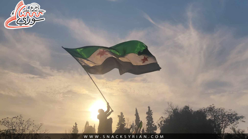 الحرية التي حلم بها السوريون.. هل نالوها؟