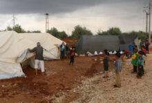 وزيرة الشؤون الاجتماعية تدعو لتسليم النساء مناصب قيادية .. وإلا سيبقى المجتمع ناقصاً