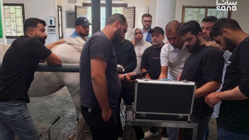 photo 2026 10 05 13 26 51 3 اختتام دورة متخصصة لتحسين التناسل لدى الخيول بمشاركة أطباء بيطريين