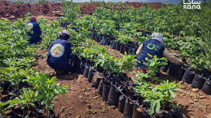 photo 2026 10 15 08 51 06 المرأة الريفية في سوريا.. جهود لتعزيز التمكين الاقتصادي وتطوير ‏المشروعات الإنتاجية