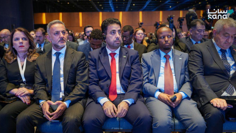 DSC00022 سوريا تشارك في أعمال "المؤتمر الطبي التركي الثاني عشر" بإسطنبول