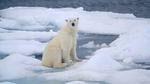 متى سيكون القطب الشمالي خاليا من الجليد؟