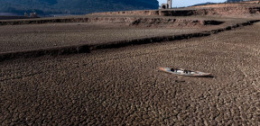 من يقتل النظام الغذائي المتوسطي؟