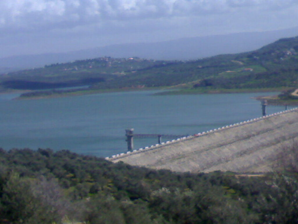 بحيرة الباسل