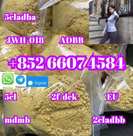 99% Pure yellow Powder 5cladba 5cladbb 5clAdbb Jwh-018