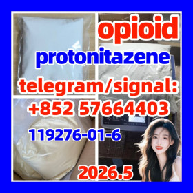 CAS 119276-01-6 Protonitazene