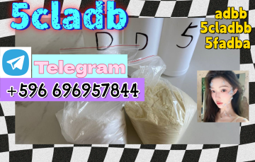 5cladba raw material adbb 5CL-ADB-A 5cladba 5f-adb