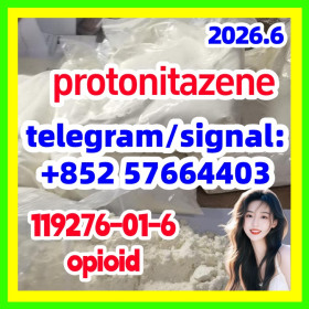 CAS 119276-01-6 Protonitazene