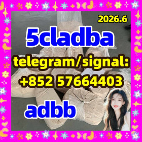 5CL-ADB supplier 5cladba 5cladb vendor on sale