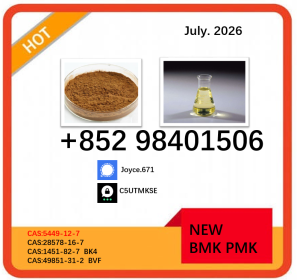 5449-12-7 high purity 28578-16-7 new PMK BMK