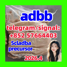 5cladba precursor raw 5cl-adb-a raw material