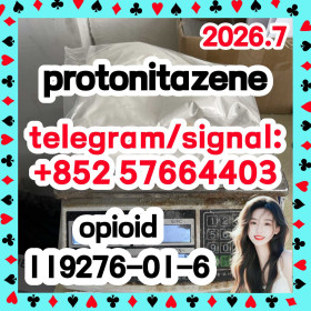 CAS 119276-01-6 Protonitazene