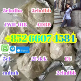 5cladb 5cl 5cladbb 5fadb 4fadb cas120-72-9
