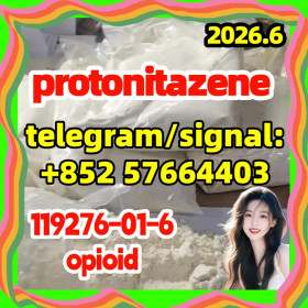 CAS 119276-01-6 Protonitazene