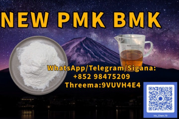 NEW PMK BMK CAS 5449-12-7 & CAS 1451-82-7