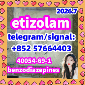 etizolam 40054-69-1