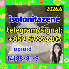 Protonitazene 119276-01-6  opioid