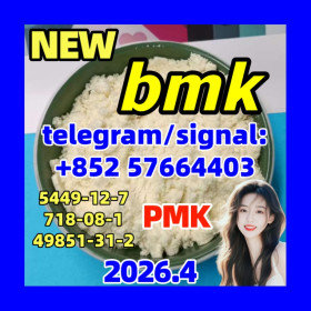 5449-12-7 BMK Glycidic (sodium salt) 5449-12-7