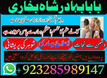love marriage issue solve pakistan amil baba uk usa uae