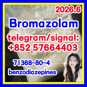 High quality cas.71368-80-4 Brozolam