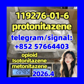 119276-01-6 Protonitazene opioid
