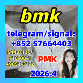 BMK Powder GLYCIDIC ACID (SODIUM SALT) CAS 5449-12-7