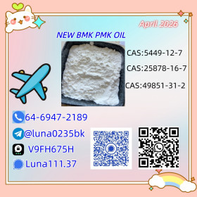 Ethyl Glycidate 28578-16-7 New PMK Power Trier