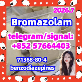CAS 71368-80-4 Bromazolam
