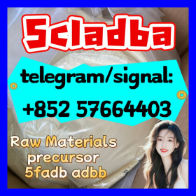 5CL-ADB China Supplier 5cl 5cladba 5cladba |
