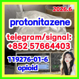 CAS 119276-01-6 Protonitazene (hydrochloride)119276-01-6,Purity99%