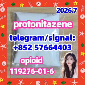 CAS: 119276-01-6 Protonitazene (hydrochloride)