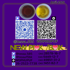 cas 5449-12-7 BMK Powder glycidate Bmk Glycidic Acid