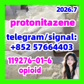 CAS 119276-01-6 Protonitazene |