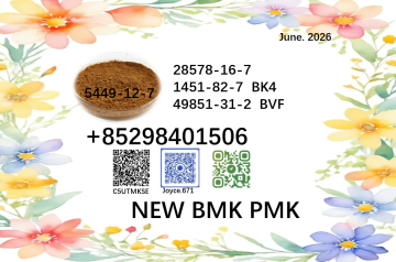 Latest batch NEW PMK BMK 5449-12-7 & 28578-16-7 wholesale