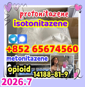 Protonitazene CAS 119276-01-6  (hydrochloride)，opioid，