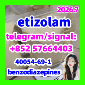 etizolam 40054-69-1