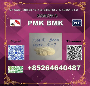 PMK 28578-16-7 BMK 5449-12-7 fast delivery