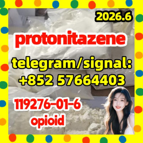 CAS 119276-01-6 Protonitazene (hydrochloride) ISO power