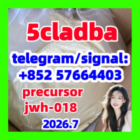 5cladba raw material 5CL-ADB-A precursor raw