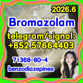 CAS:71368-80-4 Bromazolam