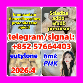 BMK Glycidic Acid (sodium salt) CAS 5449-12-7