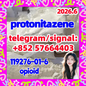 Cas 119276-01-6 Protonitazene (Hydrochloride)